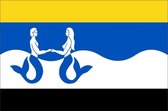 Vlag gemeente Schouwen-Duiveland 100x150 cm
