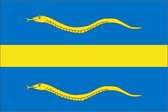 Vlag gemeente Pijnacker-Nootdorp 150x225 cm