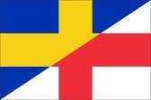 Vlag gemeente Oldenzaal 150x225 cm