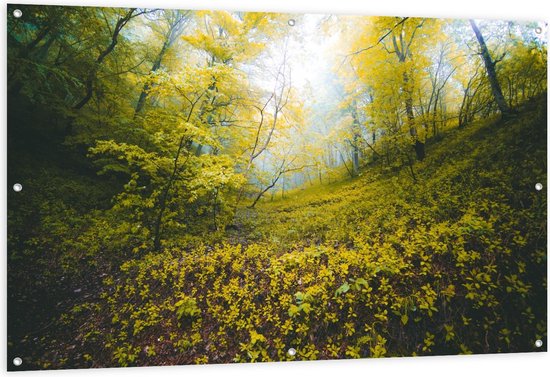 Tuinposter – Kleine Gele Bloemetjes in het Bos - 150x100cm Foto op Tuinposter  (wanddecoratie voor buiten en binnen)