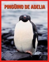 Pinguino de Adelia