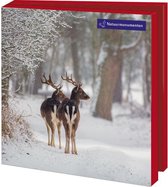 Bekking & Blitz - Kerstkaartenmapje - Set Kerstkaarten - Kunstkaarten - 10 stuks - Inclusief enveloppen - Uniek design -  Winter - Natuurmonumenten