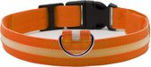 Led halsband - Lichtgevend - Veiligheid - Hond - Kat - Oranje - S - Pixypet
