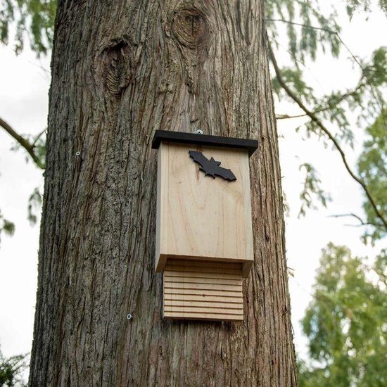 Boîte à chauves-souris Glamis