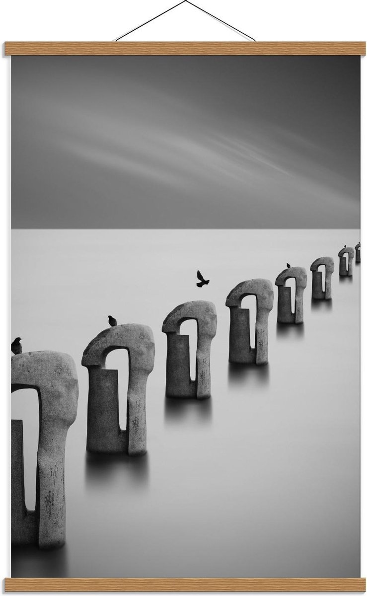 Schoolplaat – Vogels op Betonnen Palen ( Zwart Wit ) - 60x90cm Foto op Textielposter (Wand