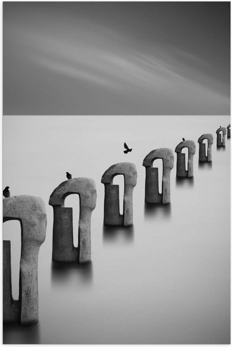 Poster – Vogels op Betonnen Palen ( Zwart Wit ) - 40x60cm Foto op Posterpapier