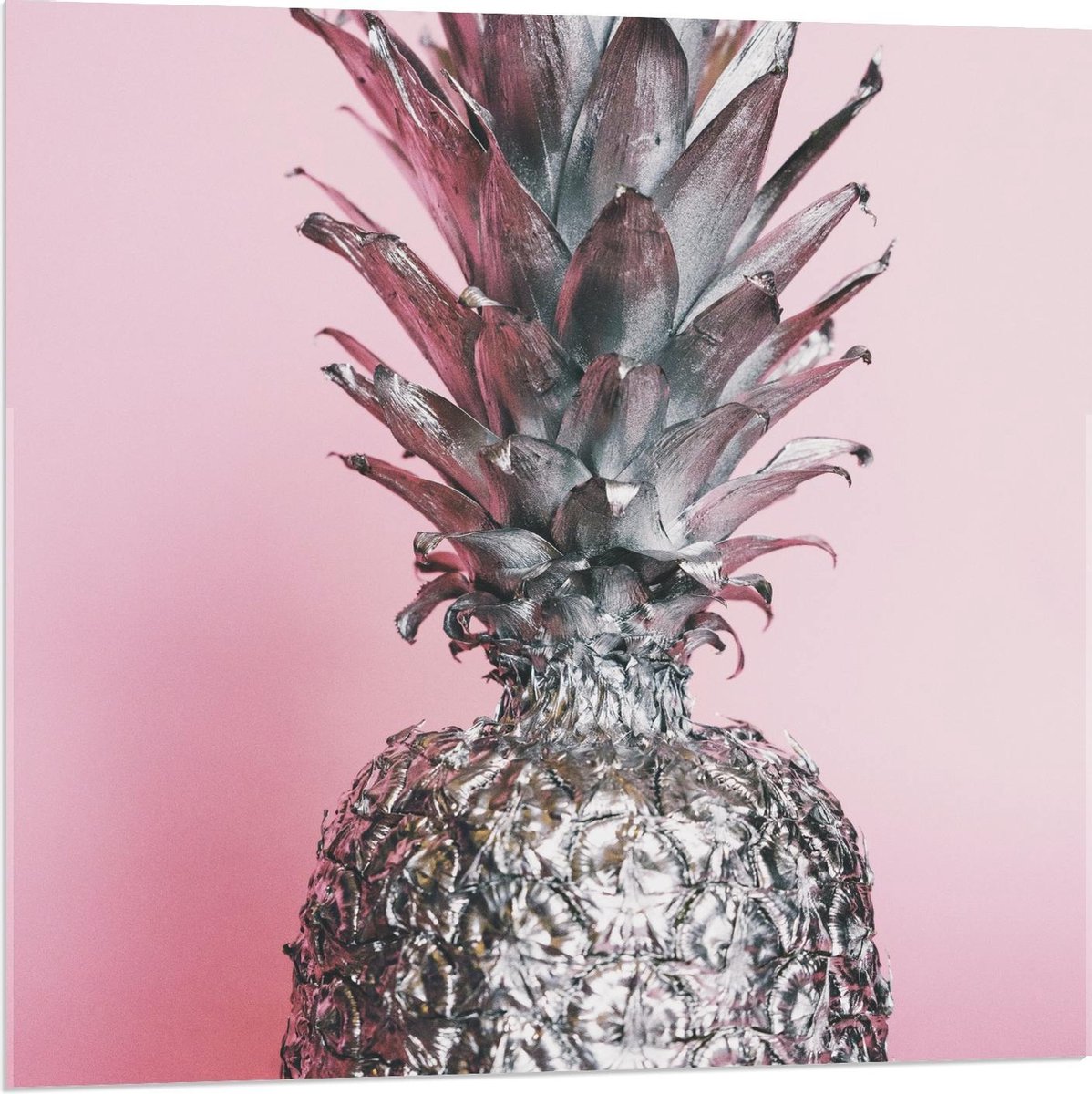 Acrylglas - Zilveren Ananas met Roze Achtergrond - 80x80cm Foto op Acrylglas (Met Ophangsysteem)