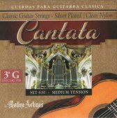Medina Artigas Cantata 630 3°G professionele snaren voor klassieke gitaar met speciale behandeling G-snaar
