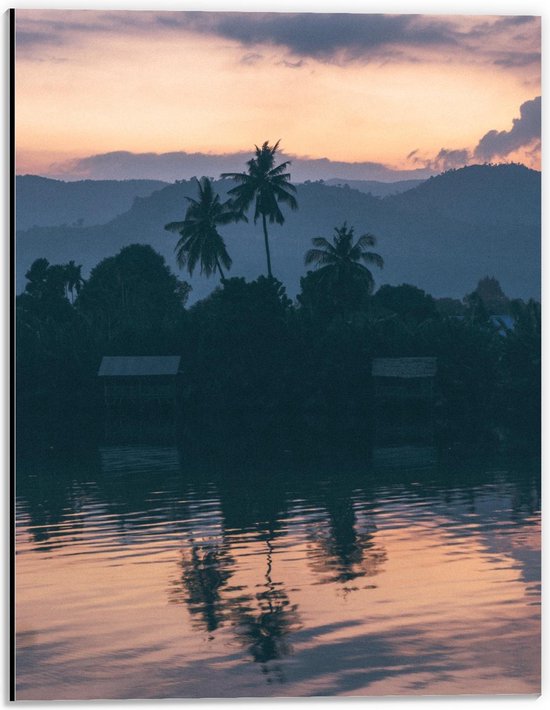 Dibond - Mooie Palmbomen aan een Meer - 30x40cm Foto op Aluminium (Met Ophangsysteem)