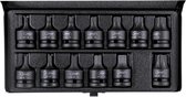JBM Tools | Set van 13 inbus en torx slagbits 1/2"
