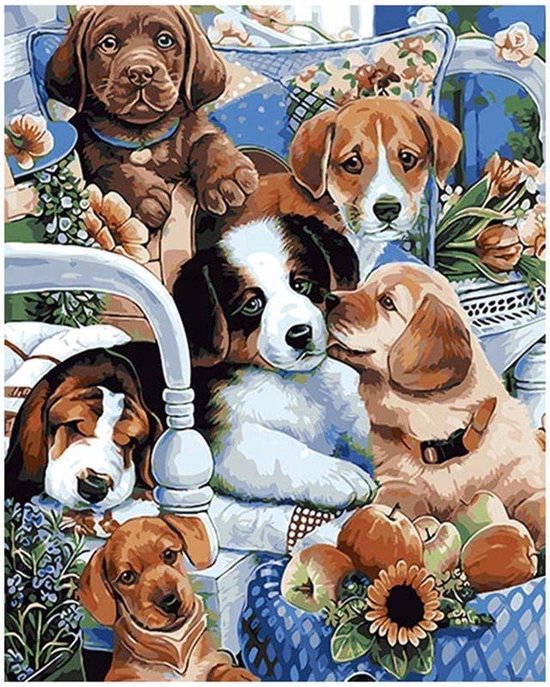compact Haven Leerling Schilderen op Nummer Honden 40x50 Volwassenen & Kinderen - Kleuren op Nummer  - Paint... | bol.com