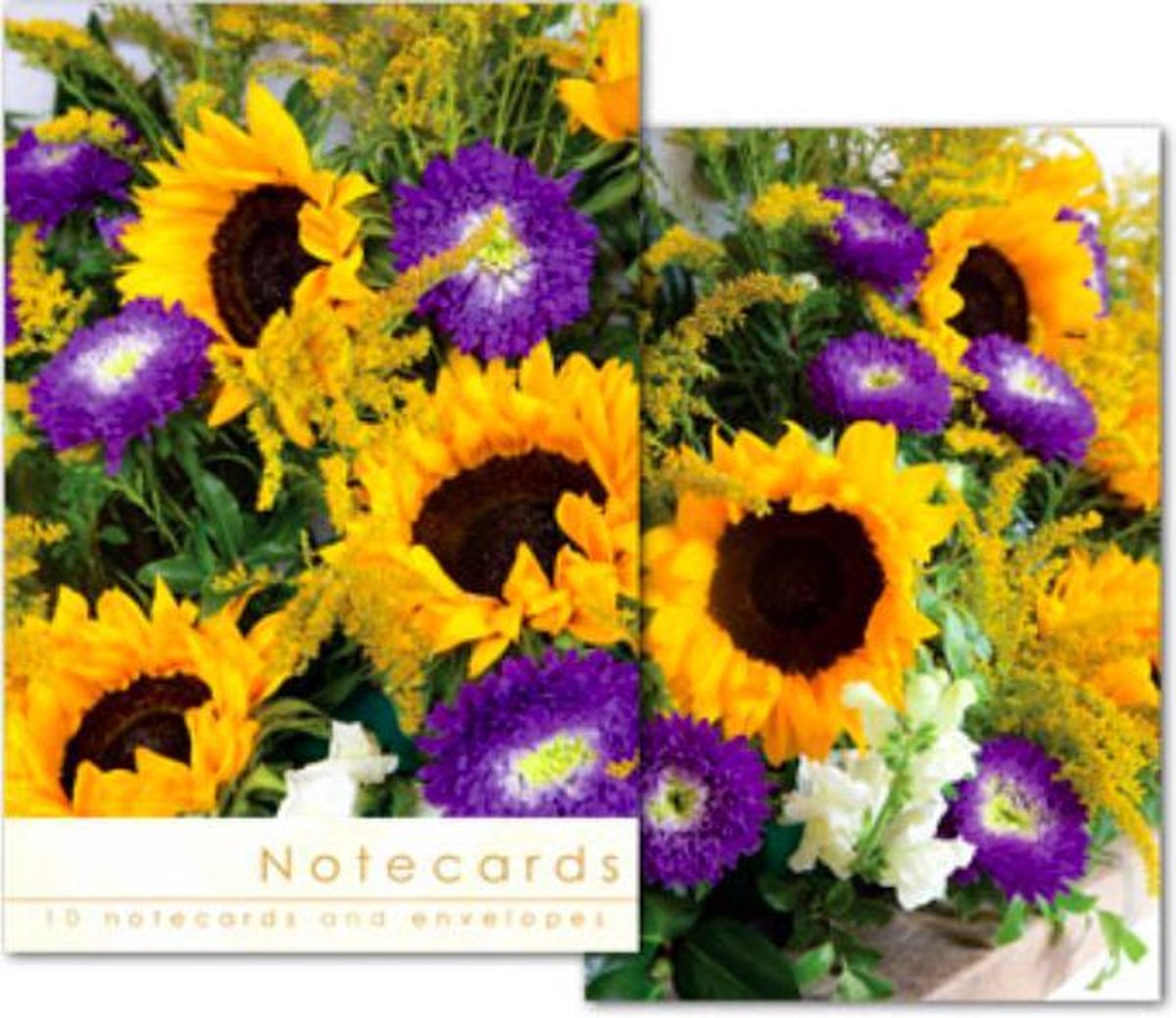 Leonard Smith Notecards ~ Kaartenmapje Zonnebloemen