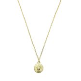 Coin with a star ketting - Goud - 42 cm