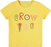 NAME IT MINI NMFDARUNA SS TOP BOX Meisjes T-shirt - Maat 110