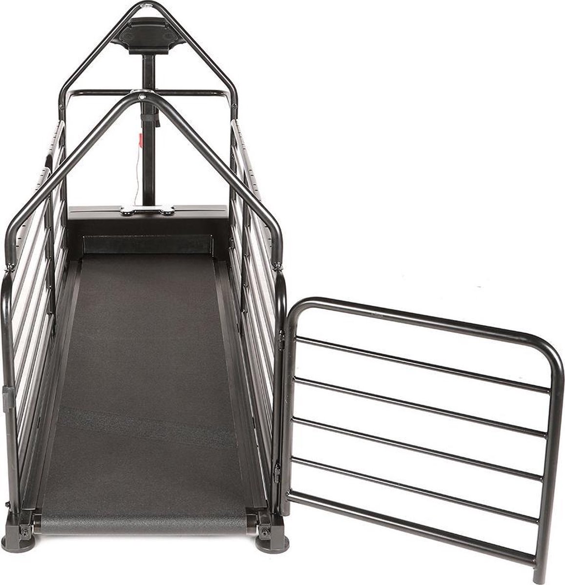 Dog Runner Loopband Honden Revolution Pro Hondenloopband