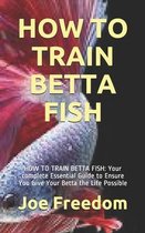 How to Train Betta Fish: HOW TO TRAIN BETTA FISH