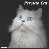 Persian Cat 2021 Wall Calendar