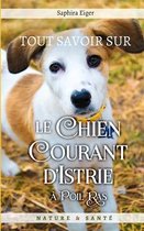 Tout Savoir Sur Le Chien Courant d'Istrie a Poil Ras