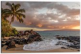 Dibond - Hawaï Strand met Ondergaande Zon - 60x40cm Foto op Aluminium (Wanddecoratie van metaal)