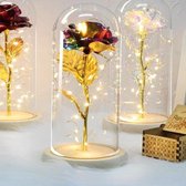Gouden Roos in Glazen Stolp met LED verlichting - Valentijn, Liefde & Trouw Cadeau - Geschenk - Golden Rose with LED - Love and Marriage Gift - Beauty and the Beast