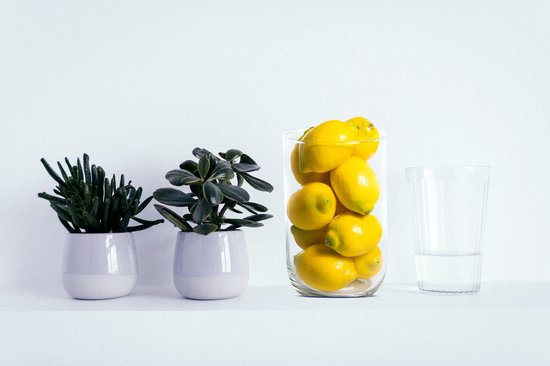 Mini Citrons Artificiels En Résine - Lot De 6 Pour Décoration Maison De Poupée, Centre De Table, Photos Ou Déco Intérieure - 4