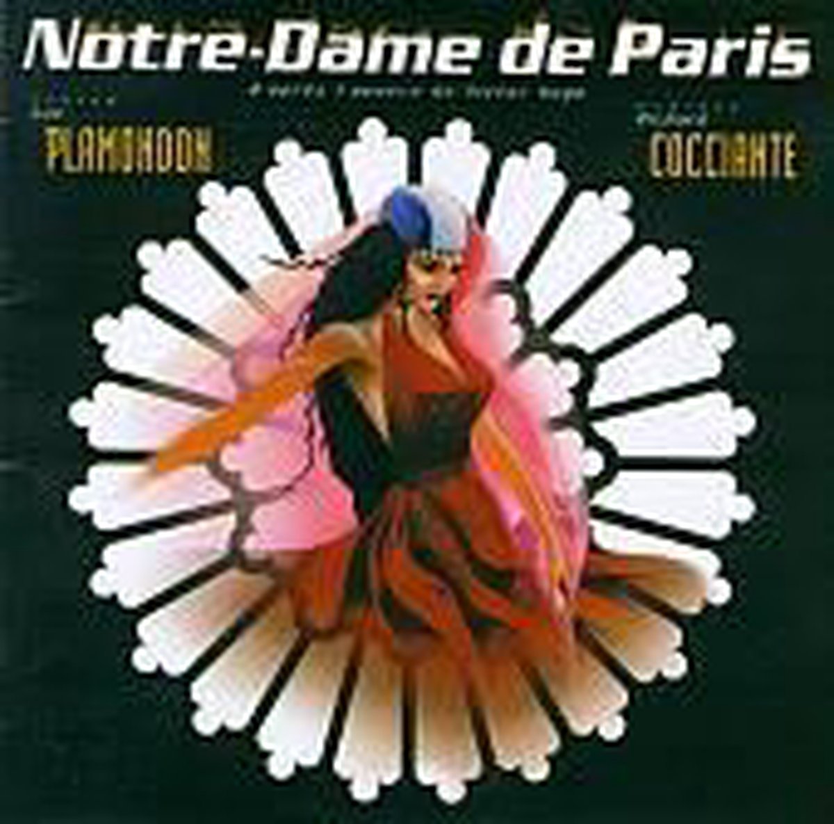 onenigheid Kaap Gewoon Notre-Dame De Paris, various artists | CD (album) | Muziek | bol.com
