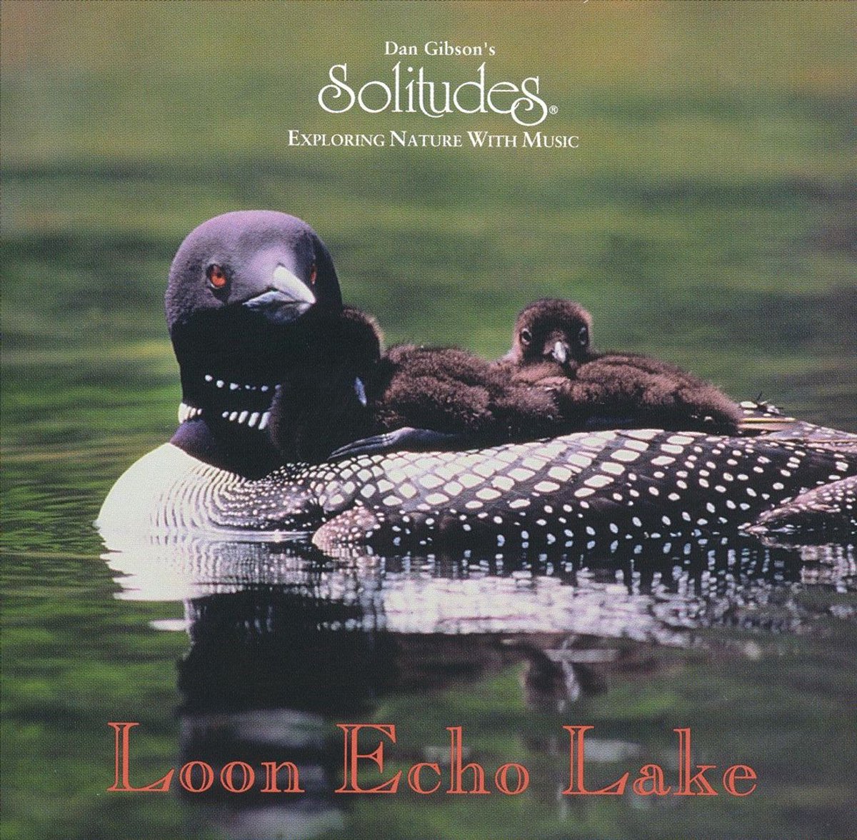 Loon Echo Lake