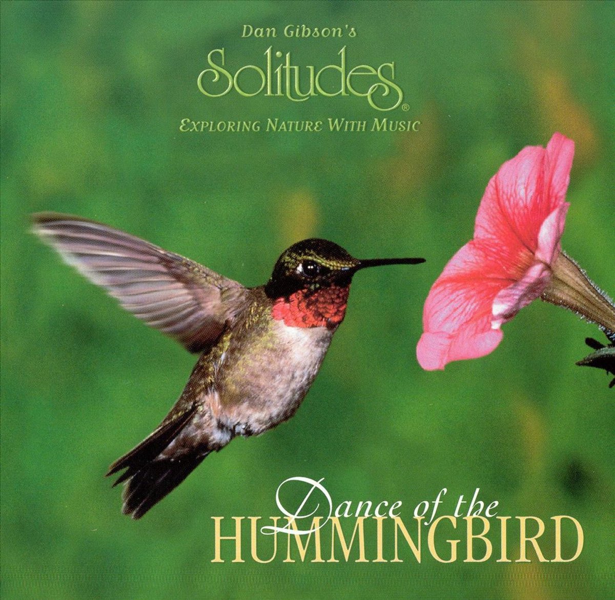 Dance of the Hummingbird