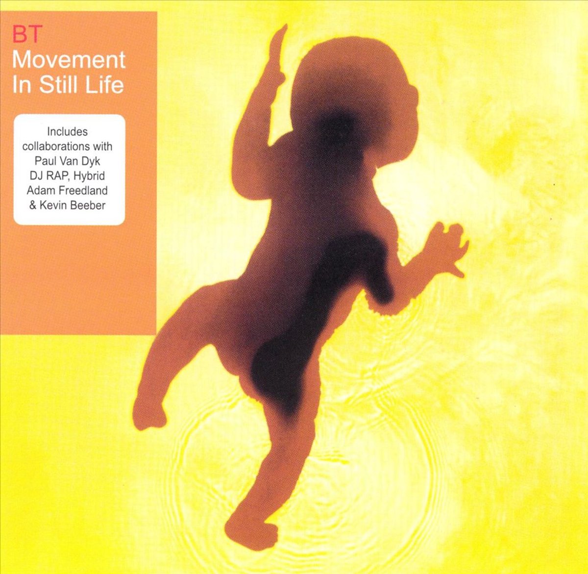 Movement in Still Life