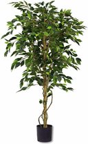 Kunstplant Ficus Groen 1.80m - Groene Kunst Sfeerplant