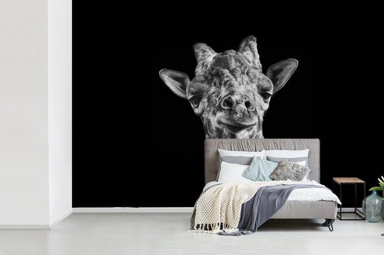 Fotobehang Vinyl Zwart Wit Portret Van Een Giraffe Breedte 330 Cm X Hoogte 2 Cm Bol Com