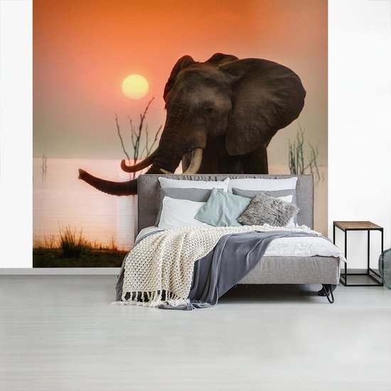 Behang - Fotobehang Afrikaanse olifant bij Karibameer - Breedte 245 cm x  hoogte 220 cm | bol.com