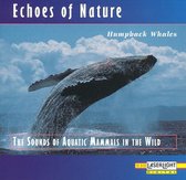 Echoes of Nature: Humpback Whales