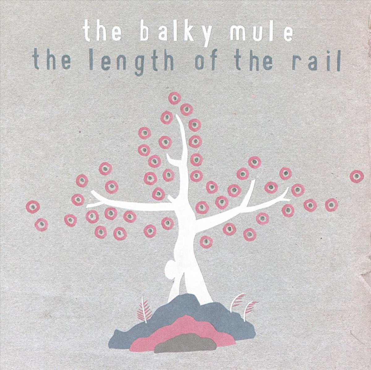 Length of the Rail