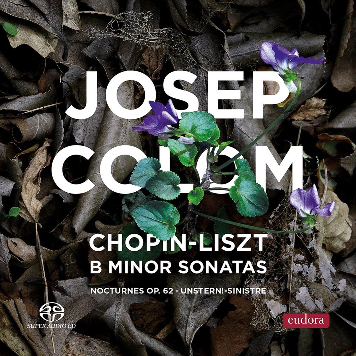 Chopin-Liszt: B minor Sonatas