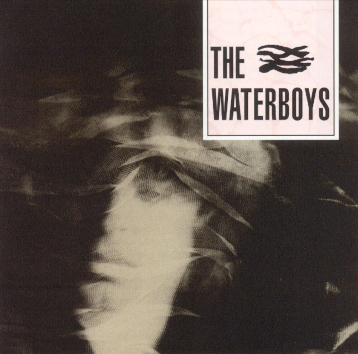 Waterboys (CD)