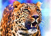 Diamond Painting - Luipaard - Ronde steentjes - 30 x 40 Centimeter