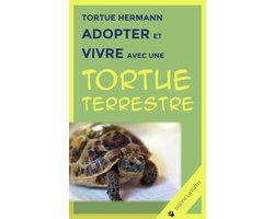 Tortue Hermann : adopter et vivre avec une tortue terrestre