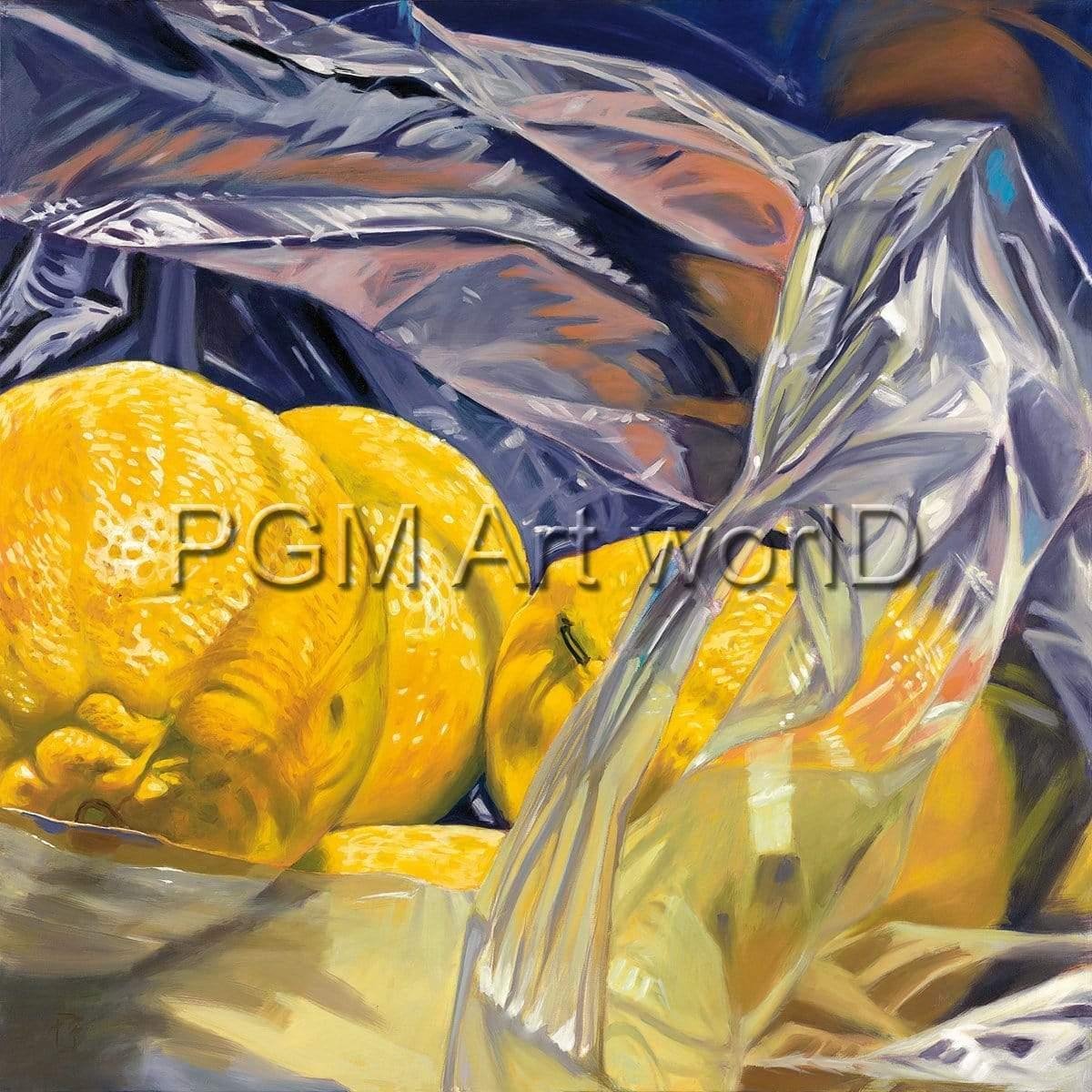 PGM Kunstdruk Thomas Freund - Lemon bag 98x98cm Divers