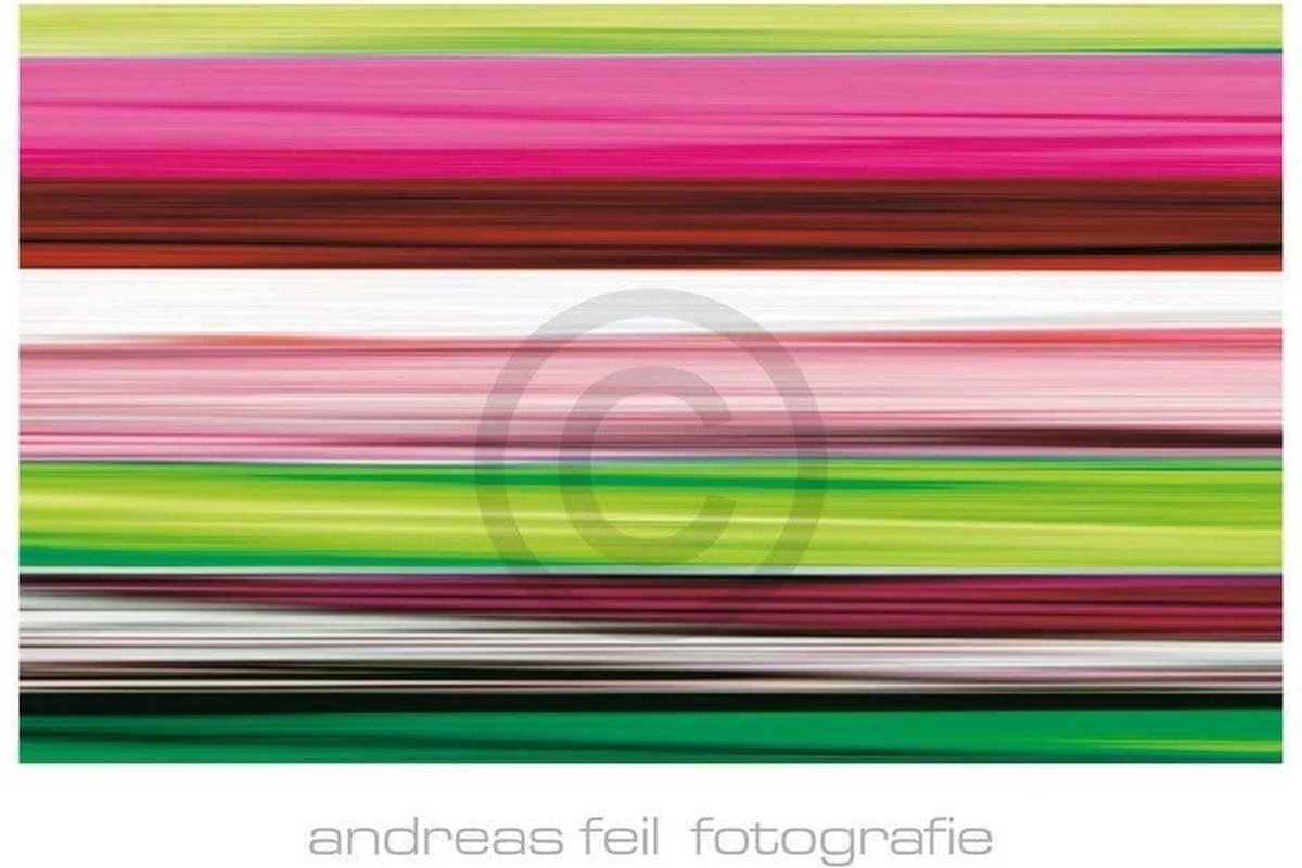 PGM Kunstdruk Andreas Feil - Fotografie II 138x95cm Divers
