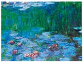 Kunstdruk Claude Monet - Nymphéas 30x24cm