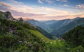 Fotobehang - Naturpark Allgäuer Hochalpen 450x280cm - Vliesbehang