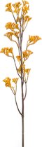 Kunstbloem Kangoeroepoot geel 95 cm