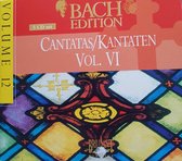 Bach Edition - Cantatas Vol 6 / Leusink, Netherlands Bach Collegium