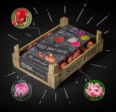 Tulpenbox “BEST KEPT SECRET” by BOLT Amsterdam - Tulpenbollen in kistje – 60 stuks – Dubbelbloemig – Prachtige mix van 3 kleuren – De beste kwaliteit & Vers uit eigen kwekerij – Pe