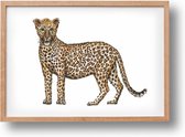 Poster luipaard - A4 - mooi dik papier - Snel verzonden! - tropisch - jungle - dieren in aquarel - geschilderd door Mies