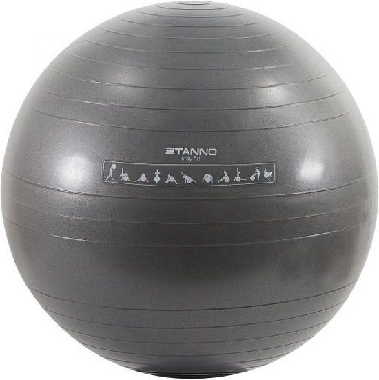 Stanno Fitness Bal - Maat 75 cm