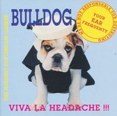 Viva La Headache!