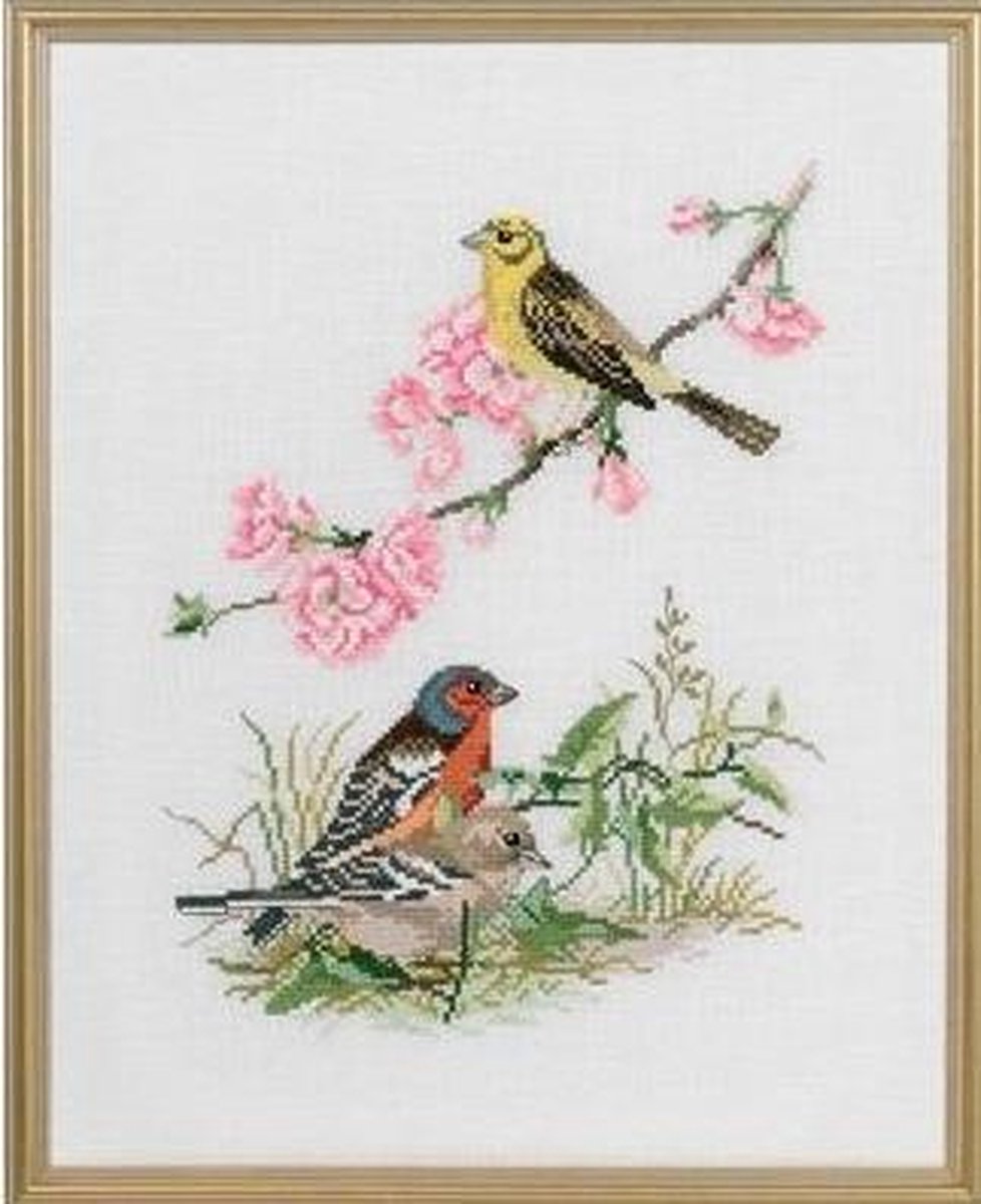Eva Rosenstand borduurpakket 3 vogels 12-735 borduren op linnen