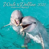 Whales and Dolphins Kalender 2021